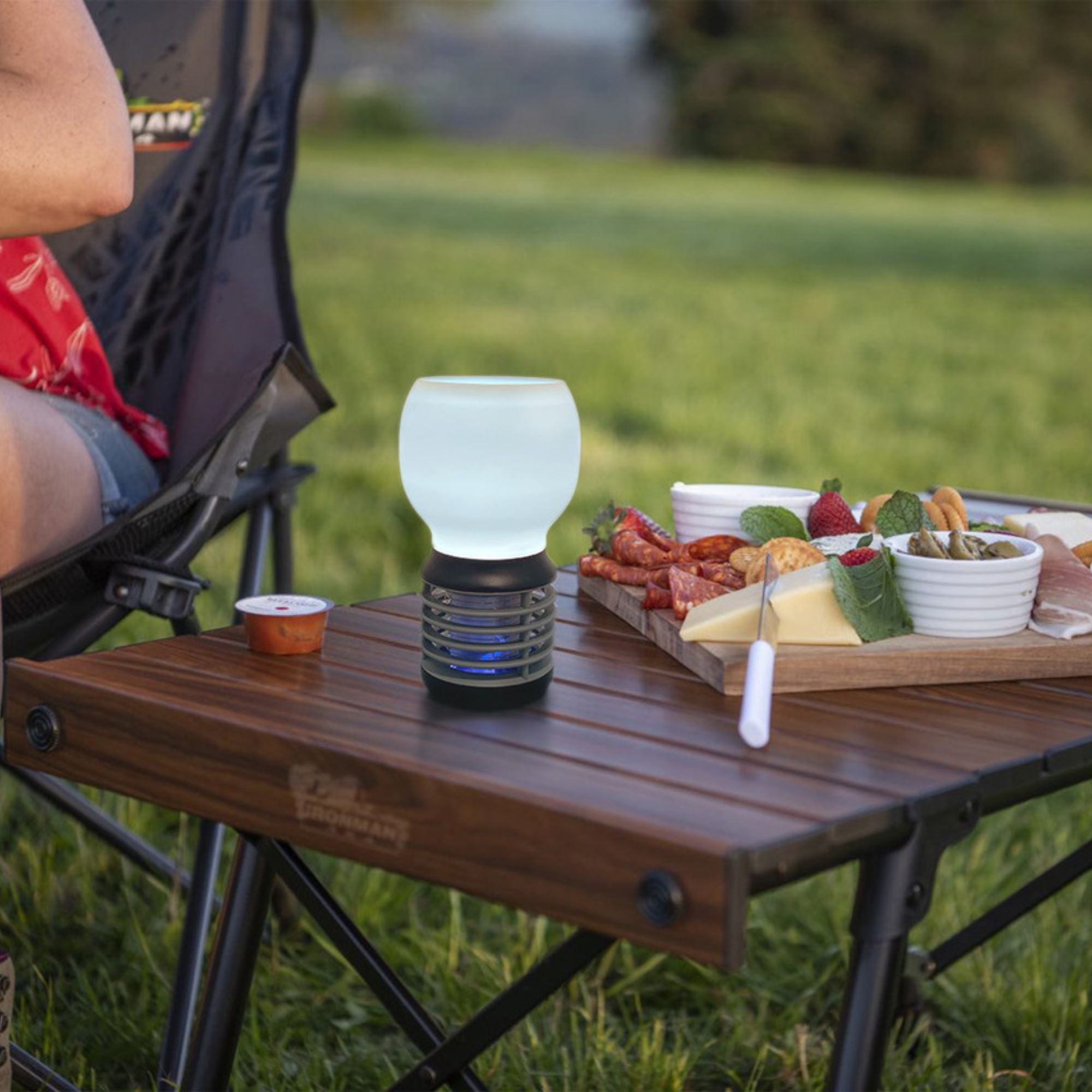 RECHARGEABLE LED LANTERN AND BUG ZAPPER